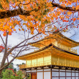 CHÙA VÀNG KINKAKUJI